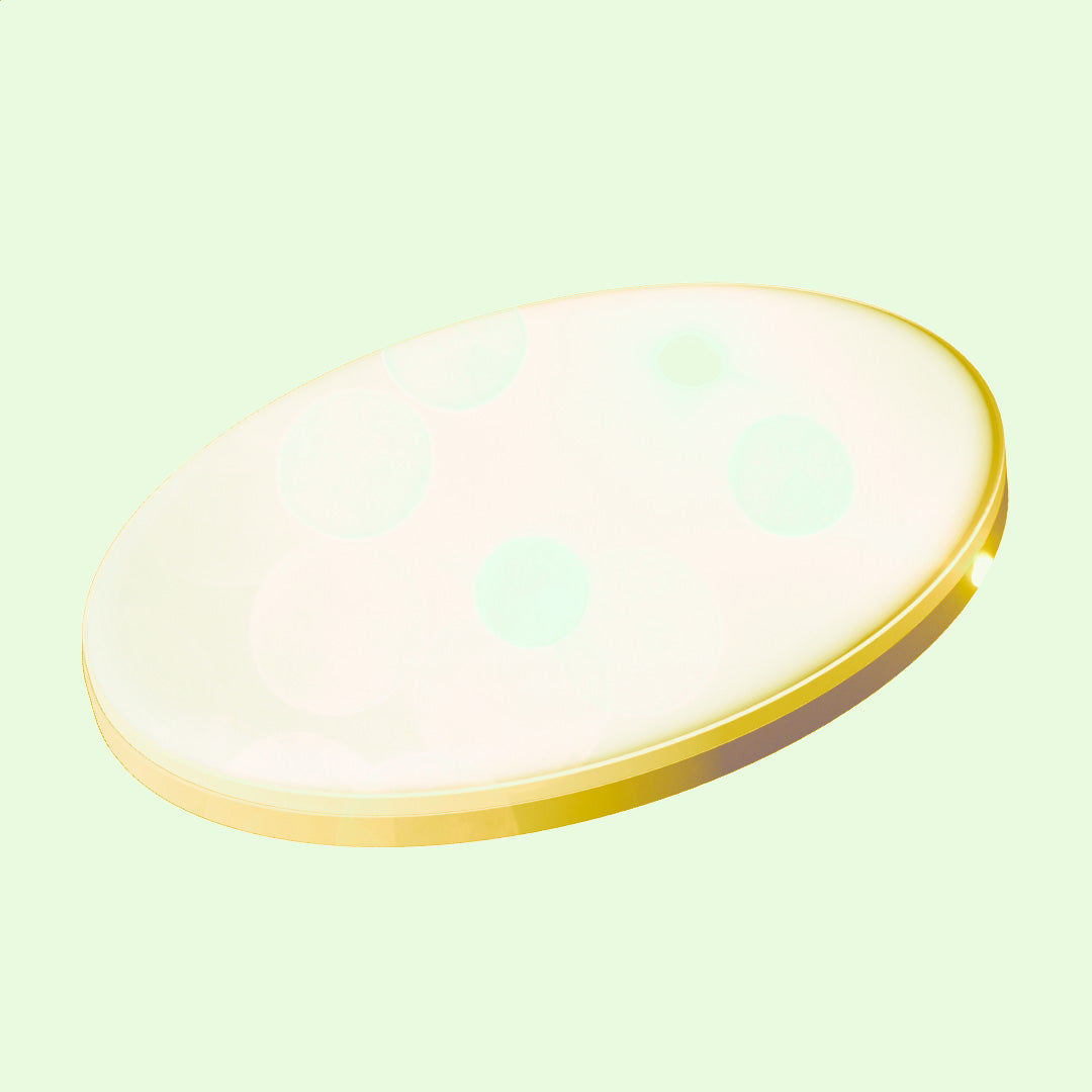 Thinnest & Lightest RX Lenses
