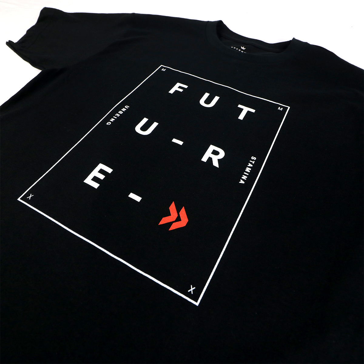 Unbeing X Stamina FSV2 - image 2