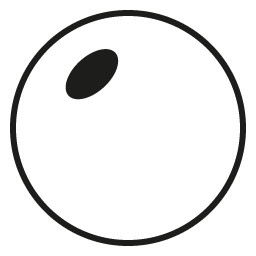 Standard Sun RX Lenses